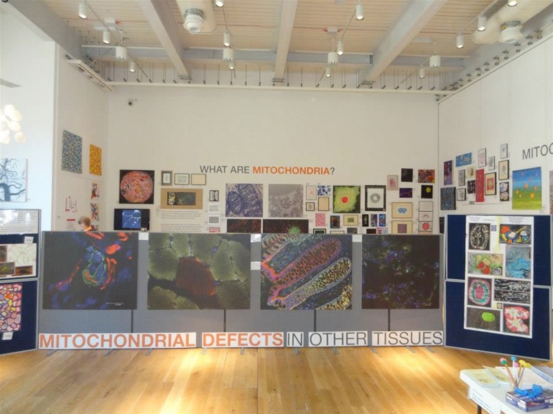 Brain Awareness Week – Mitochondria Artwork